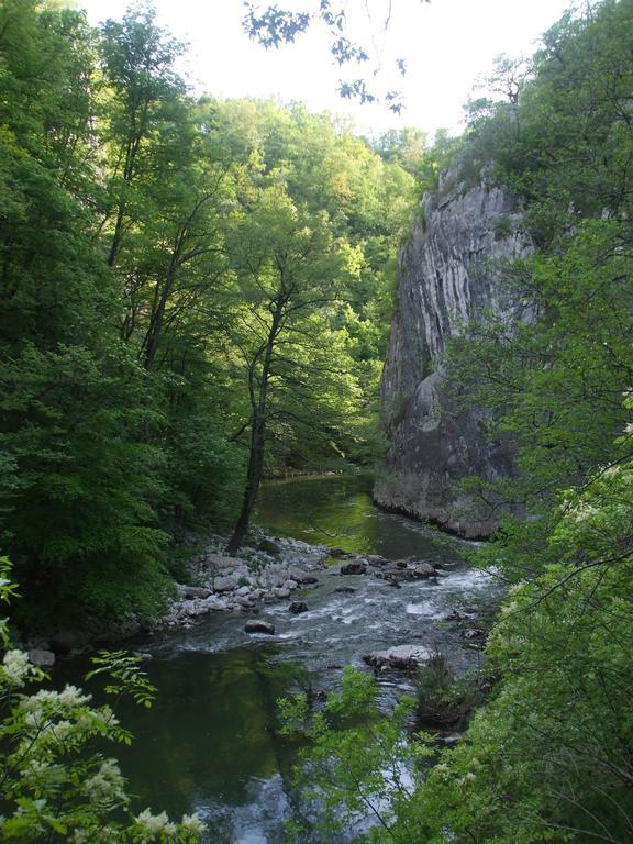 Bed and Breakfast Osterija Na Planinci Дівача Номер фото